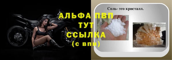 СК Белокуриха