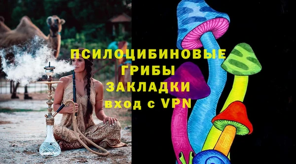 ПСИЛОЦИБИНОВЫЕ ГРИБЫ Бородино