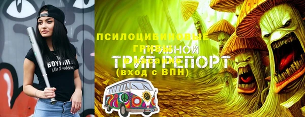 ПСИЛОЦИБИНОВЫЕ ГРИБЫ Бородино