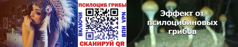 Псилоцибиновые грибы GOLDEN TEACHER  Верхняя Пышма 